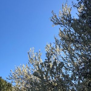 Meet your Posher, Pondersa